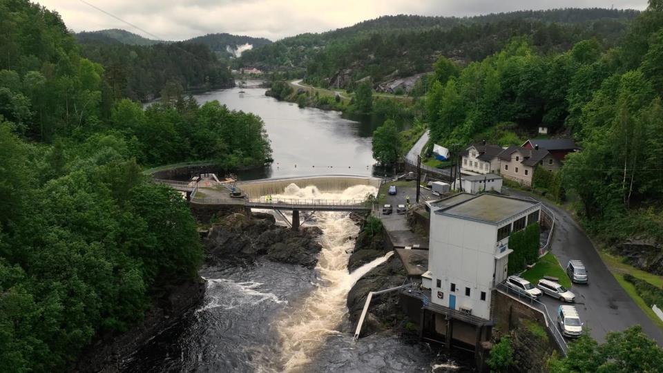 Lenke til artikkel: Langsiktig samarbeid gir resultater for naturmangfoldet i Kragerøvassdraget